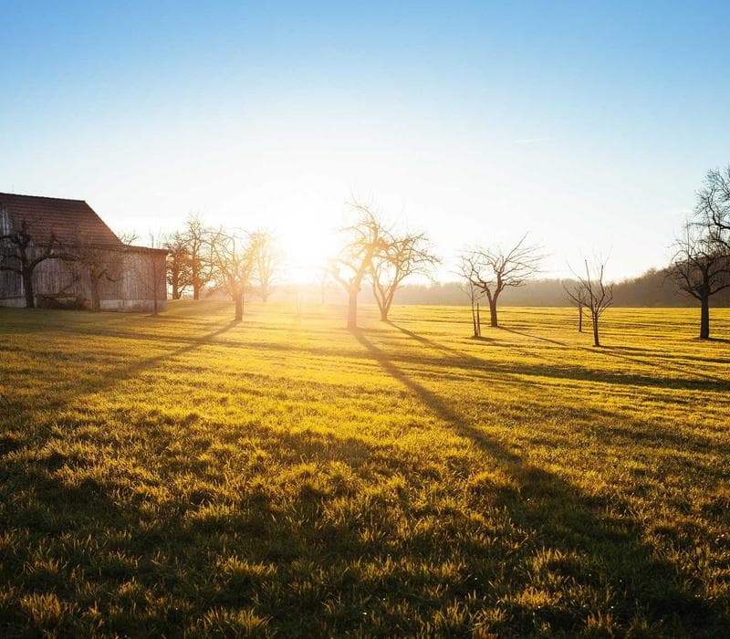 Community Center Inauguration
