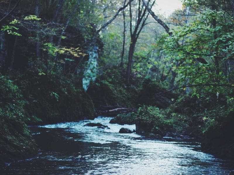 Children Learning in Village School