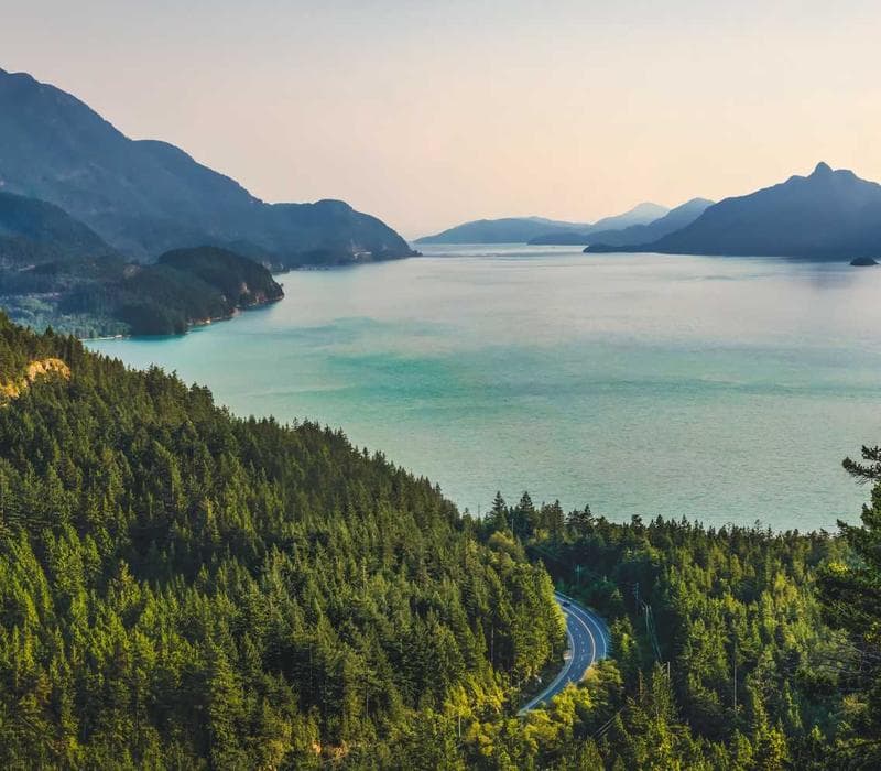 Handwashing Education