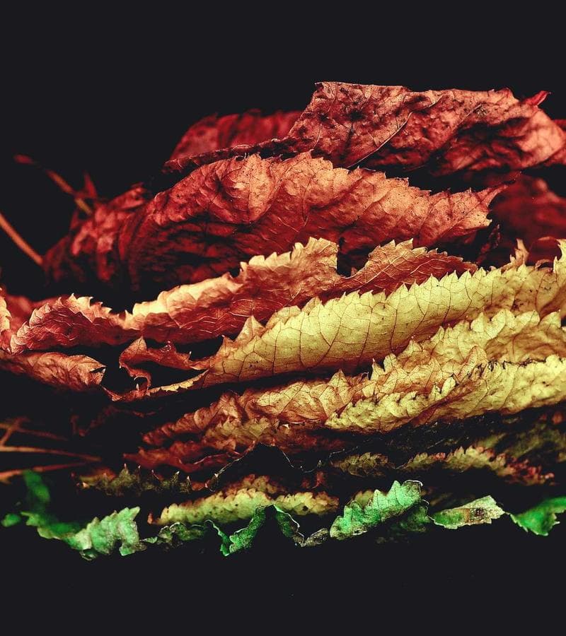 Community Water Purification